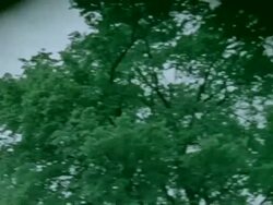 101st Airborne Division - Airborne, part 1 Stock Footage