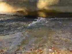 Dolly Shot: Polluted Water from the Sewer Stock Footage