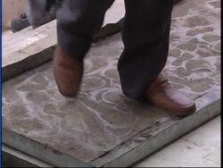 Preventative measures at border to stop bird flu spreading News Clip