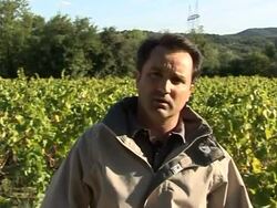 VOICED: French wine producers feel the pinch News Clip