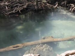 Clearwater at Two waters canal Stock Footage