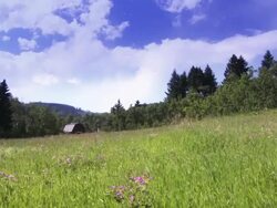 Horseback riding in the country Stock Footage