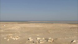 Fragments of the ancient city of Berenike litter a vast desert where archaeologists work. Stock Footage