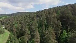 4K Aerial Shot Forest Stock Footage