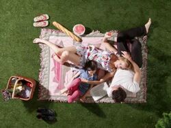 MS, Lockdown, a playful family relaxing on a blanket at a park, overhead view Stock Footage