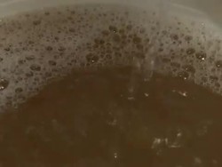 VOICED: Wine connoisseurs craft own vintage News Clip