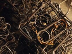 Metal traps for capturing animals in the forest Stock Footage