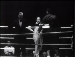 Carnera Bubble Burst By Gains News Clip