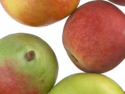 HD LOOP: Various Fruit Stock Footage