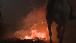 CLEAN : Horses brave the flames in Spain News Clip