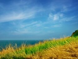 Grass, sea and sky Stock Footage