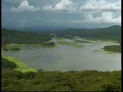 River and rainforest, WA, Panama, Central America Stock Footage