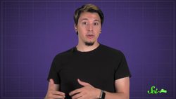 What is Taurine and Why's It in My Energy Drink? Instructional Video