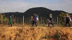 Decades on, millions of unexploded U.S. bombs left in Laos News Clip