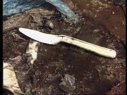 China - Shipment Of Rubbish Dumped News Clip