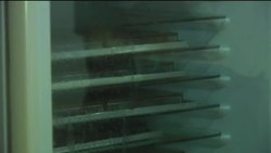 Belgian chocolatier opens factory in Indonesia News Clip