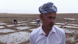 Public workers turn to farming to supplement incomes News Clip