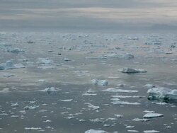 WS T/L View of boast moving across ocean passing icebergs in cold water / Ilulissat, Greenland Stock Footage