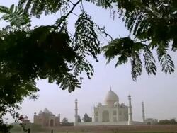 WS Branches framing Taj Mahal / Agra, Uttar Pradesh, India Stock Footage