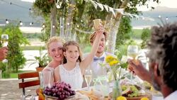Friends and family toasting bride and groom at wedding reception Stock Footage
