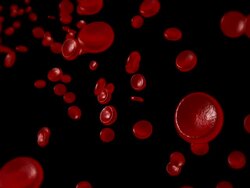 Red Blood Cells Stock Footage