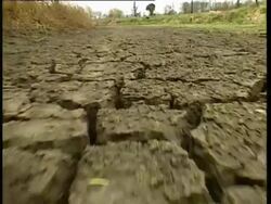 Drought - dried up river bed Stock Footage
