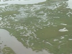 Gulf Oil Spill Spreads, Damaging Economies, Nature, And Way Of Life Stock Footage