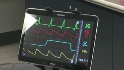 Synthetic Dogs to be Used in Vet Training News Clip