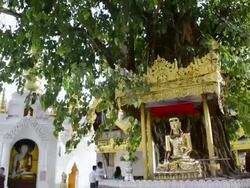 MS TD Shot of People walking between Buddha figures in shwedagon pagoda / Yangon, Yangon Division, Myanmar Stock Footage