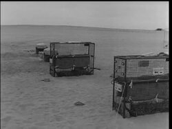 FRANCE'S 3rd BOMB News Clip