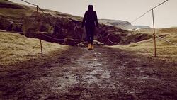 Walking in forest Stock Footage