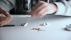 Marijuana. Stock Footage