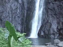 Tahitien waterfall Stock Footage