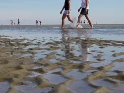 WS View of sea ebb tide at wadden sea ,world heritage natural site, North Sea North Frisia, / St. Peter Ording, Schleswig Holstein, Germany Stock Footage