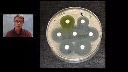 LS4C - Adaptation Instructional Video