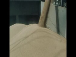 SYND 16/1/80 GRAIN EXPORTED TO RUSSIAN SHIP DESPITE INTERNATIONAL BOYCOTT Instructional Video
