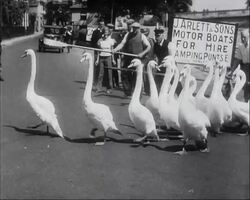 Watermen Clear River For Henley Regatta News Clip