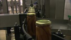 A conveyor belt moves jars of frankfurters through a packing facility. Stock Footage