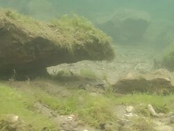 Cantabric sea underwater Stock Footage
