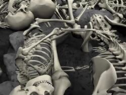 (Loop) Halloween, Field of humans skeletons Stock Footage