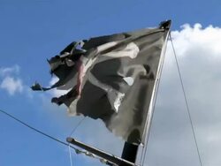 Pirate flag in wind Stock Footage