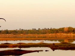 paraplane flying Stock Footage
