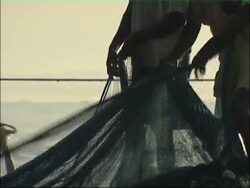 African coast. Stock Footage