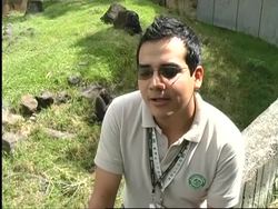 Interactive animal museum inspires children News Clip