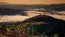 Morning mood in the hills of Istria, Croatia Stock Footage