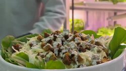 Restaurant grows its salads on its walls News Clip