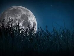 Fullmoon Stock Footage