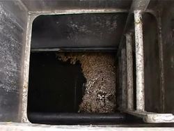 VOICED: French sea-going 'vacuum cleaner' sucks up water pollution News Clip