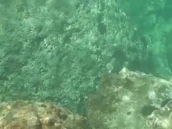 Underwater view Stock Footage