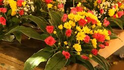 Flower stylist Stock Footage